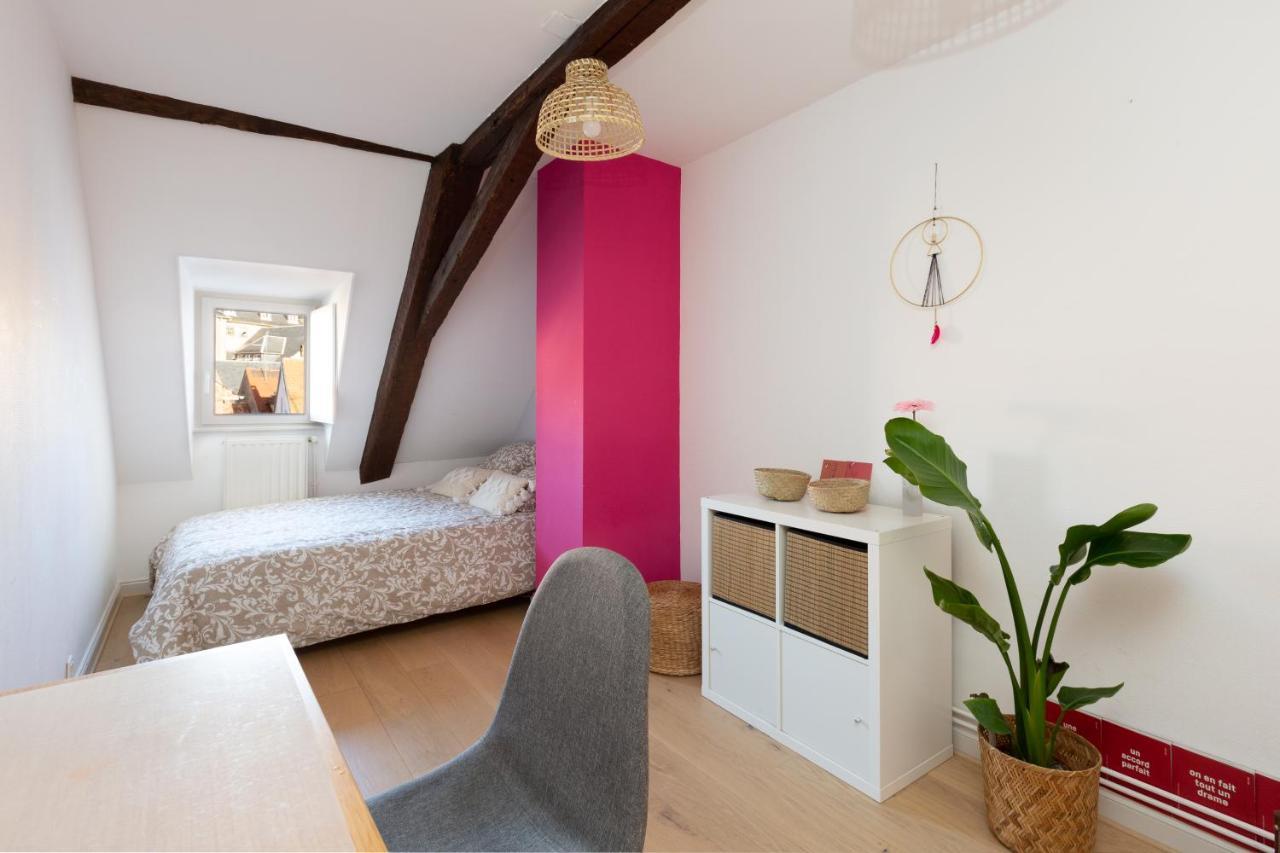 Petite France-Cathedrale, Duplex 100M2- 3 Chambres สตราสบูร์ก ภายนอก รูปภาพ